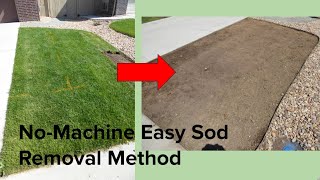 NoMachine easy sodturf removal method [upl. by Crystal]