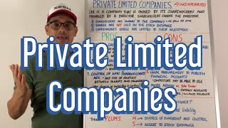 Private Limited Companies [upl. by Scholem]