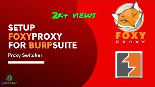 How to Setup Foxy Proxy  Burp Suite  Proxy Switcher  Firefox [upl. by Rustie]