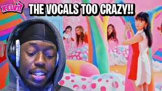 Red Velvet 레드벨벳 Rookie MV  REACTION [upl. by Hnahc]