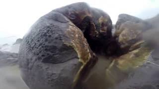 Moeraki Boulders Koekohe Beach New ZealandNew Zealand Must See [upl. by Nuarb]