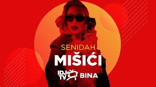 SENIDAH  MISICI LIVE  IDJTV BINA [upl. by Saraiya526]