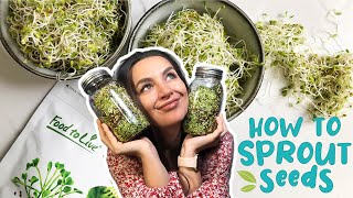 HOW TO SPROUT SEEDS  EASY GUIDE  Foolproof Method [upl. by Relyt637]