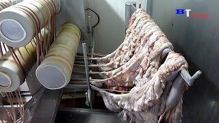 How Are Sausages Produced in Factories Excellent Food Production and Processing Process [upl. by Eitsrik]