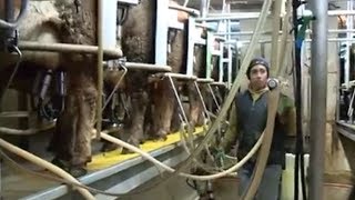 A Day Dairy Farming in Wisconsin [upl. by Kruse]