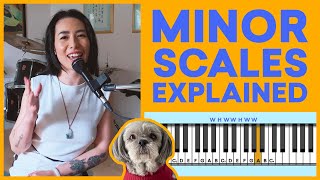 Minor Scales Explained in 8 Minutes [upl. by Yelbmik]