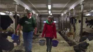 Part 1 Life Of A Dairy Farmer [upl. by Aicella]