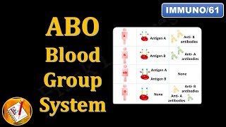 Rh Blood Group System FLImmuno62 [upl. by Oicaroh138]