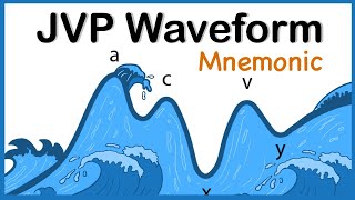 Jugular Venous Pressure JVP Waveform Mnemonic [upl. by Miles917]