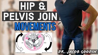 Hip Joint amp Pelvic Girdle Anatomy Joint Movements [upl. by Enilada]