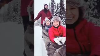 Come Dog Mushing with Travel Alaska [upl. by Delinda]