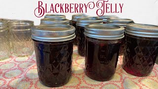 Making Blackberry Jelly [upl. by Gabe925]