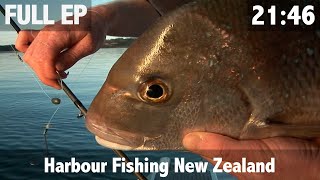 Harbour Fishing New Zealand [upl. by Ayanaj]