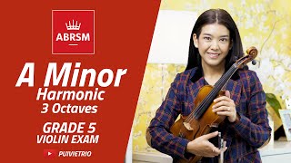 ABRSM  Grade 5  A Minor Harmonic  3 Octaves  Scale amp Arpeggio  Violin Exam [upl. by Brecher310]