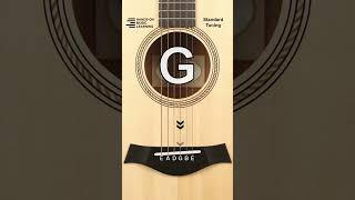 EASY Online Guitar Tuner [upl. by Cavan]