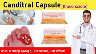 Canditral Capsules 100mg uses  Canditral 200 tablet uses in hindi  Itraconazole Capsules 200mg [upl. by Ennavoj594]