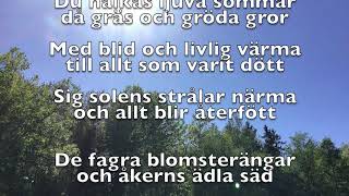 Den blomstertid nu kommer text [upl. by Bergquist]