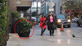 Funny Bushman Prank Compilation 2020 [upl. by Earej]