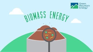 Renewable Energy 101 How Does Biomass Energy Work [upl. by Yhcir]