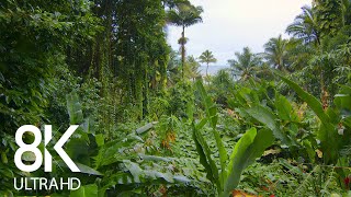 Incredible Jungle Sounds 8K  Exotic Birds Singing in Tropical Rainforest 8 HOURS  Part 1 [upl. by Neale184]