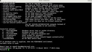 postgresql  how to backup and restore database [upl. by Benyamin847]