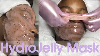 HydroJelly Mask  FULL Application and Removal [upl. by Imef]