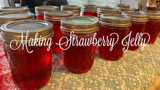 Making Strawberry Jelly [upl. by Aniraad98]