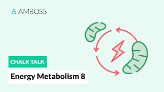 Energy Metabolism  Part 8 Anaerobic vs Aerobic Metabolism [upl. by Sibie]