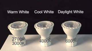 LED GU10 Light Bulbs [upl. by Rechaba]