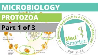 Protozoa  Microbiology  USMLE STEP 1  Part 1 of 3 [upl. by Dittman665]