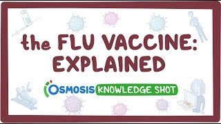 The flu vaccine explained [upl. by Husain294]