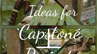 Interesting HomeBased Capstone Project Ideas for Distance Learning [upl. by Ialokin]