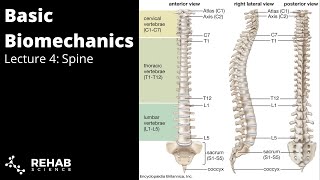 Biomechanics Lecture 4  Spine [upl. by Anneyehc865]