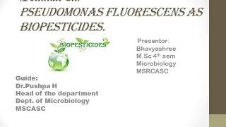 Pseudomonas fluorscens as biopesticides [upl. by Michigan]