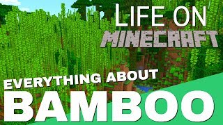 Bamboo in Minecraft Everything You Need To Know About Minecraft Bamboo Life on Minecraft Avomance 2 [upl. by Adien]