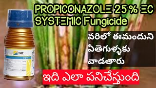 PROPICONAZOLE 25 EC SYSTEMICFungicide వరిలో పాముపొడ తెగులు నివారణhmrTELUGUAGRICULTURE [upl. by Sivrat]