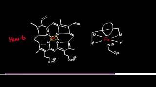 CYP2E1 Mechanism Oxidation of Ethanol to Acetaldehyde [upl. by Ttelrahc758]