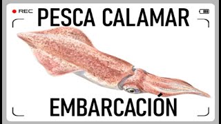 COMO PESCAR CALAMARES DESDE EMBARCACIÓN ¡APAREJO TÉCNICA E INFORMACIÓN [upl. by Auqeenwahs332]