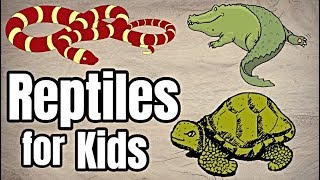 Reptiles For Kids [upl. by Ayikal315]