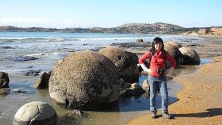 Moeraki Boulders New Zealand [upl. by Anilat544]