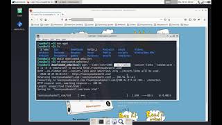 Linux Notes Downloading a full website using Wget [upl. by Arbrab]