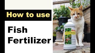 How to use FISH FERTILIZER in Garden [upl. by Enicnarf]