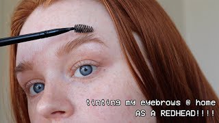 Tinting My Eyebrows At Home AS A REDHEAD  abigalesonline [upl. by Noffihc]