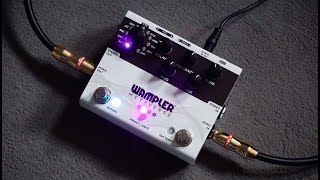 Wampler Metaverse [upl. by Lenahtan]