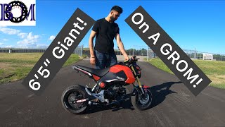 Honda Grom Tall Rider Review [upl. by Thorley585]