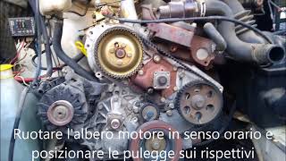 Sostituzione cinghia distribuzione Ford Transit 2500 DI [upl. by Nelehyram]