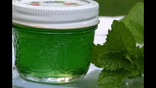 Easy Mint Jelly Recipe [upl. by Bertina]