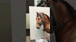 horse painting  prakashan puthur [upl. by Narba855]