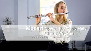 Mozarts Magic Flute Opera flute solos [upl. by Naesad]