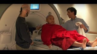 Meditations Impact on the Brain  Documentary Clip [upl. by Ithnan375]